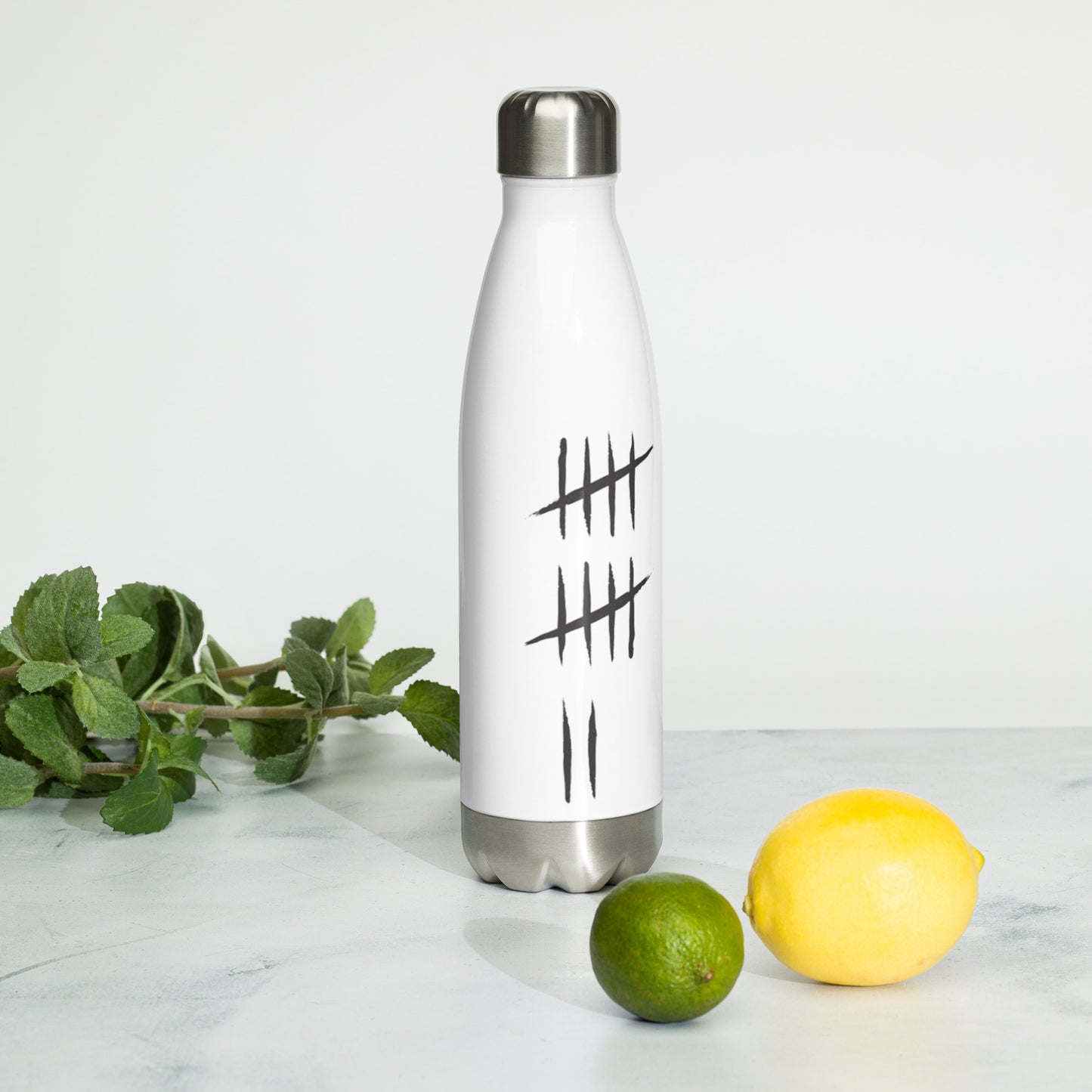 Stainless Steel Water Bottle